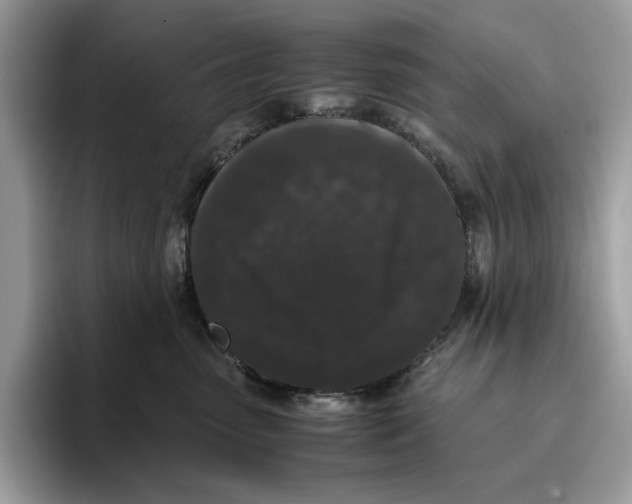 X0000095950475200802011105