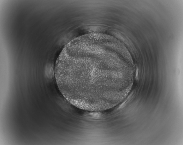 X0000095950478200802011105