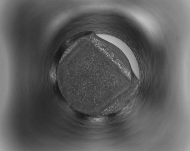 X0000095950479200802011105