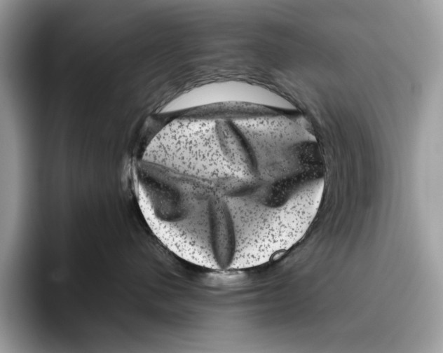 X0000095950480200802011105