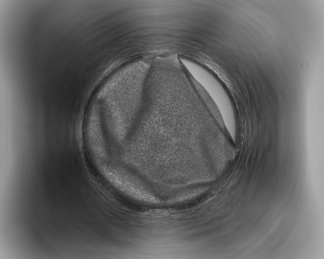 X0000095950482200802011105