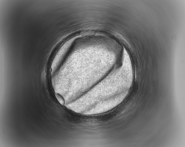 X0000095950483200802011105