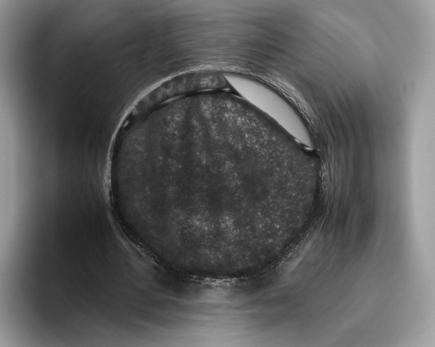 X0000095950484200802011105