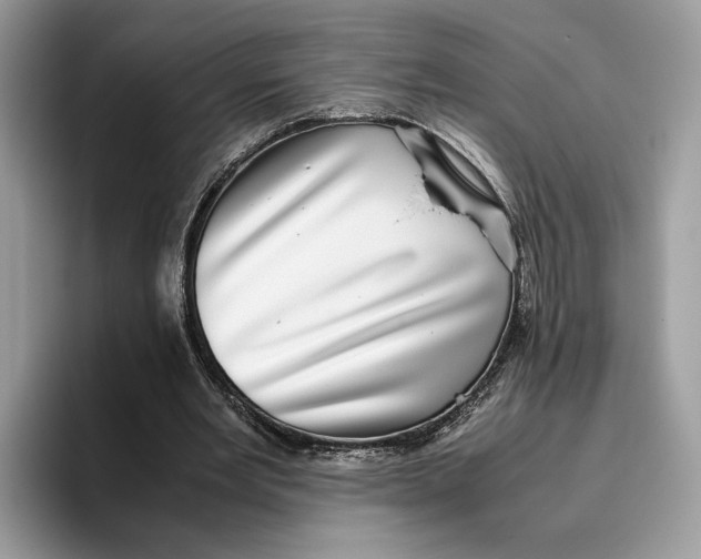 X0000095950485200802011105