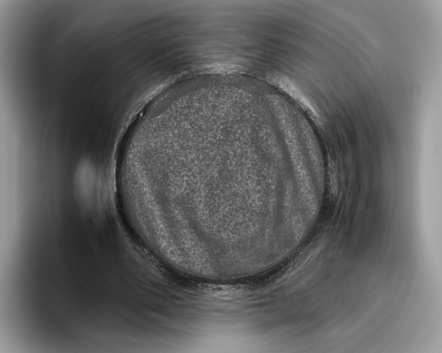 X0000095950486200802011105