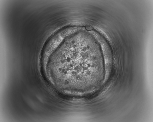 X0000095950487200802011105