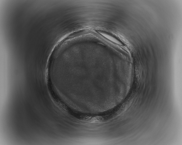 X0000095950488200802011105