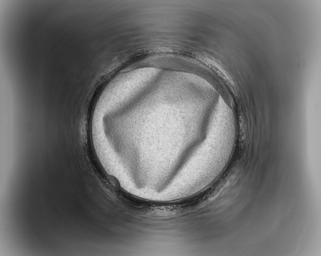 X0000095950489200802011105