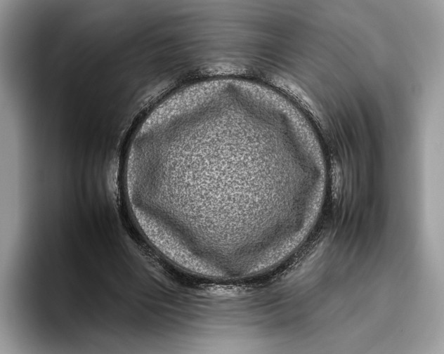 X0000095950490200802011105