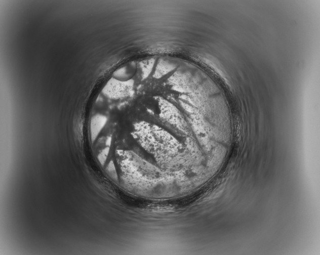 X0000095950491200802011105