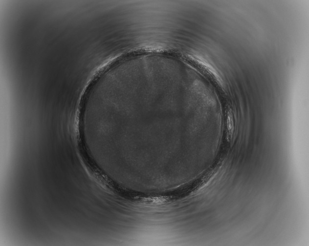 X0000095950492200802011105