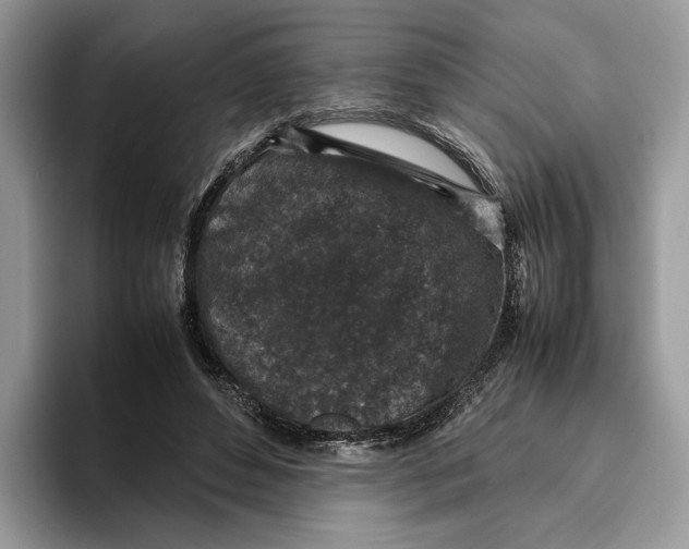 X0000095950496200802011104