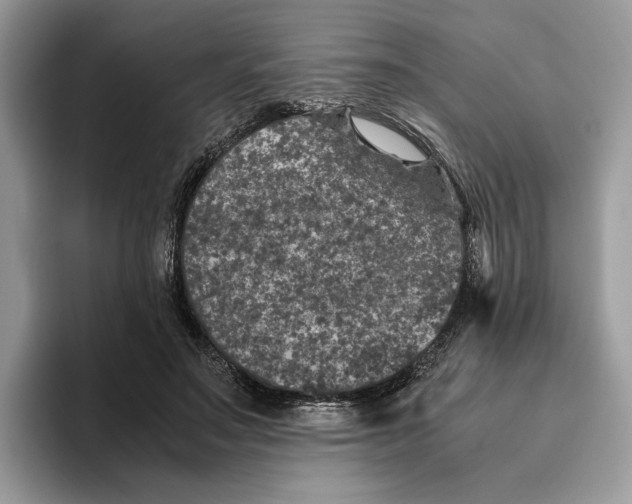 X0000095950499200802011104