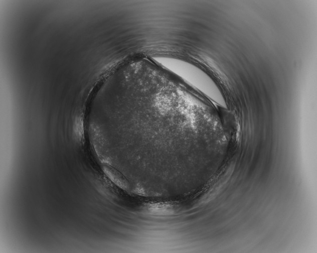 X0000095950500200802011104