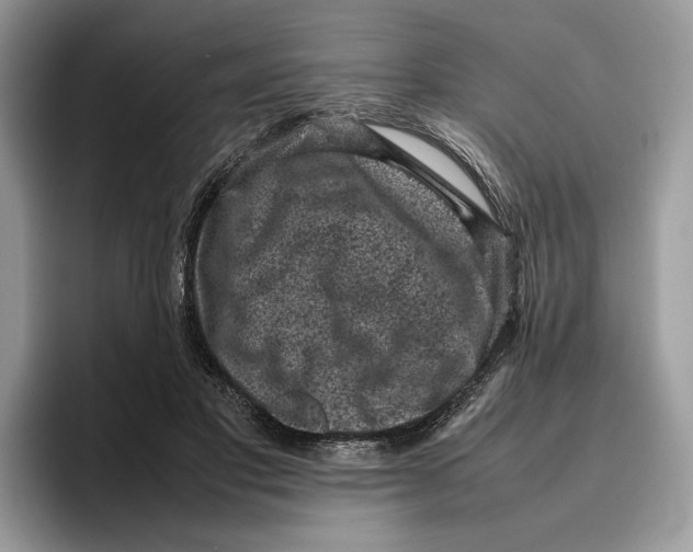 X0000095950501200802011104