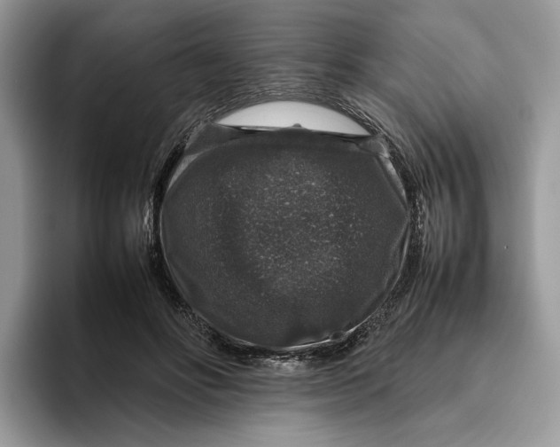 X0000095950502200802011104