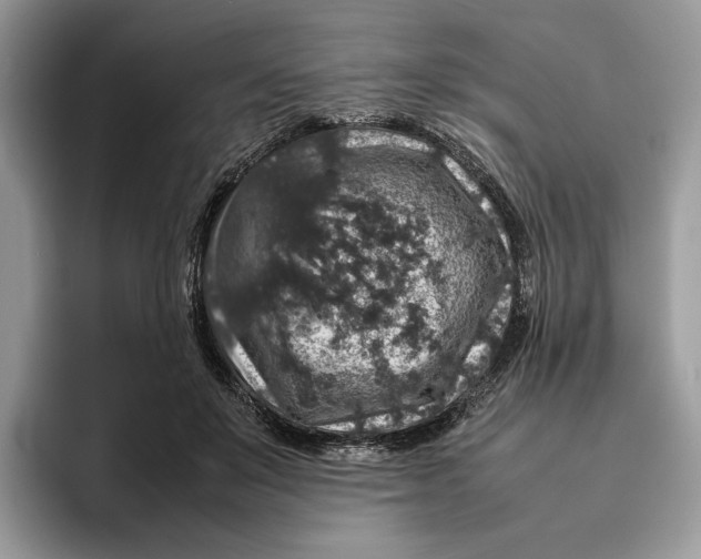 X0000095950503200802011104