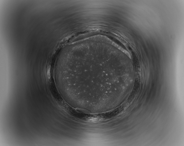 X0000095950504200802011104