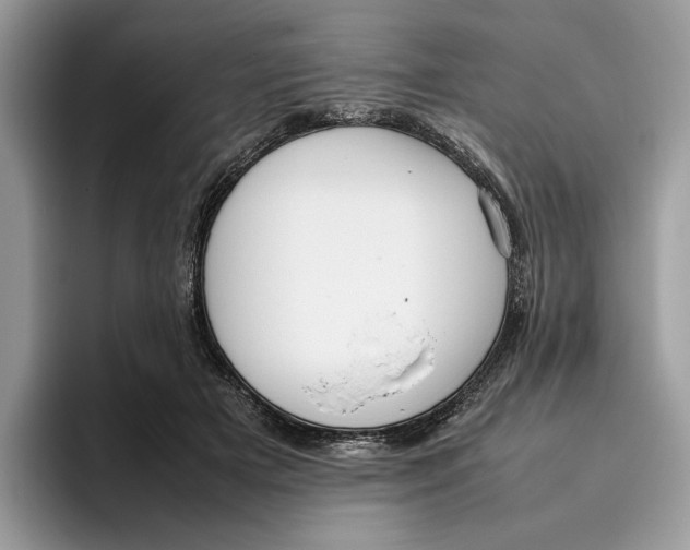 X0000095950505200802011104