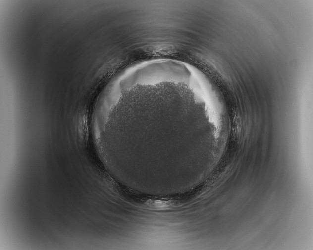 X0000095950506200802011104