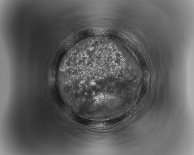 X0000095950507200802011104