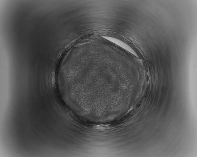 X0000095950508200802011104