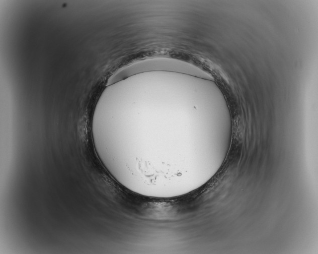 X0000095950509200802011104