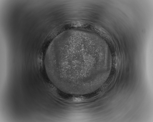 X0000095950510200802011104