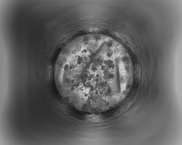 X0000095950511200802011104