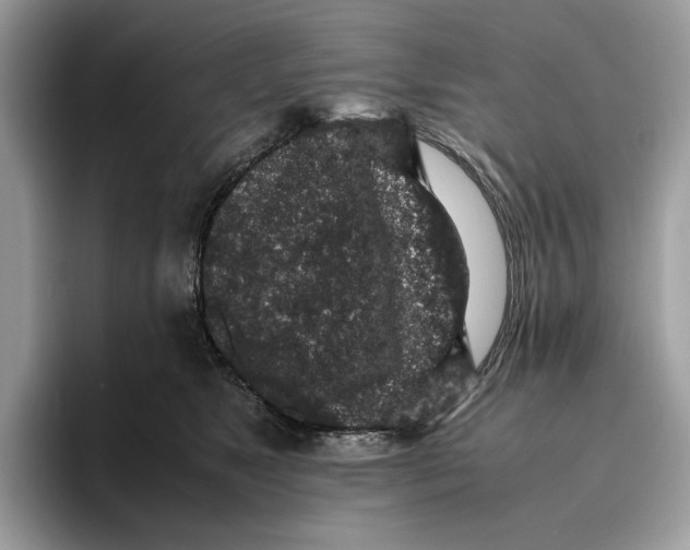 X0000095950517200802011104