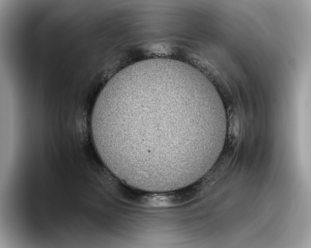 X0000095950518200802011104