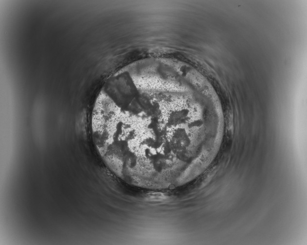 X0000095950519200802011104