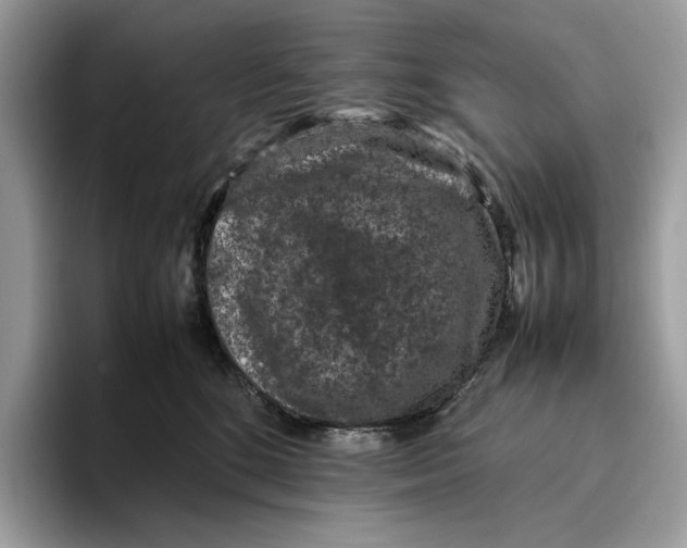 X0000095950520200802011104