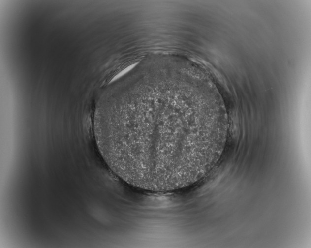 X0000095950523200802011104