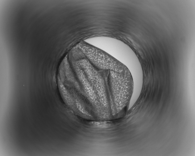 X0000095950524200802011104