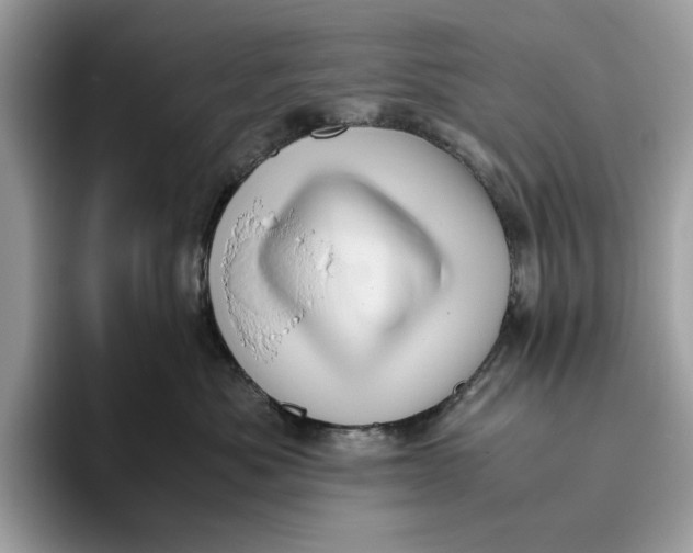 X0000095950525200802011104