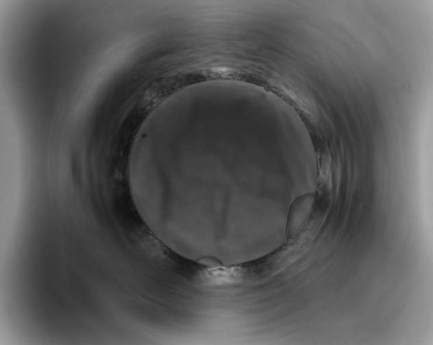 X0000095950526200802011104