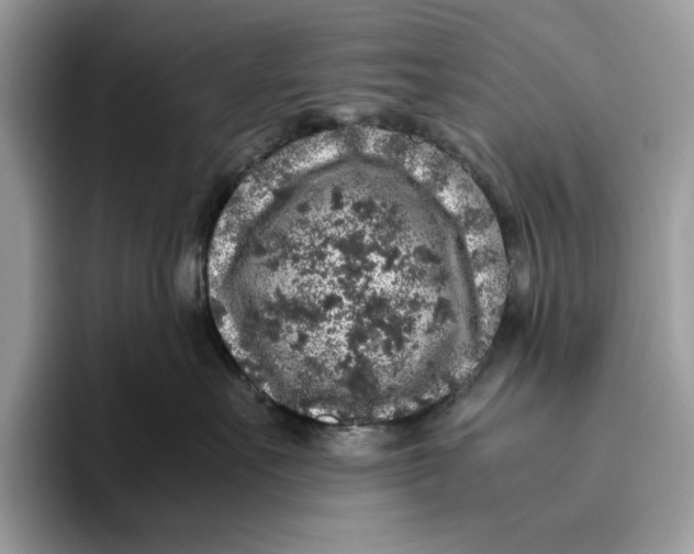 X0000095950527200802011104