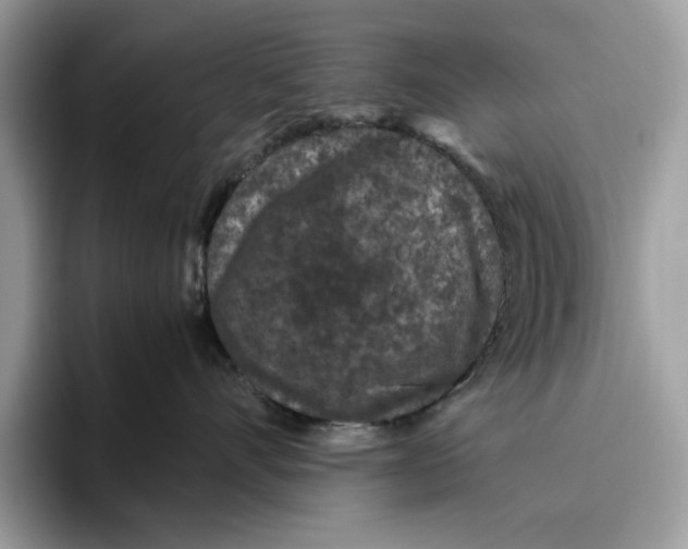 X0000095950528200802011104