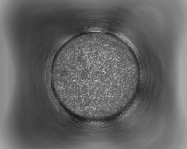 X0000095950529200802011103