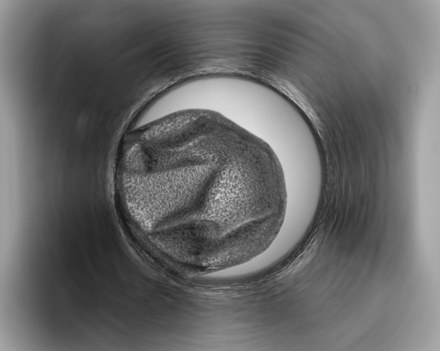 X0000095950530200802011103