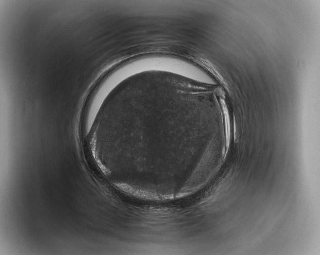 X0000095950531200802011103