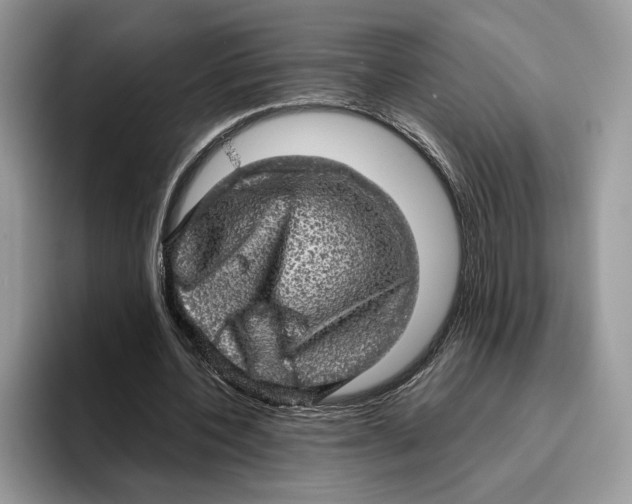 X0000095950532200802011103