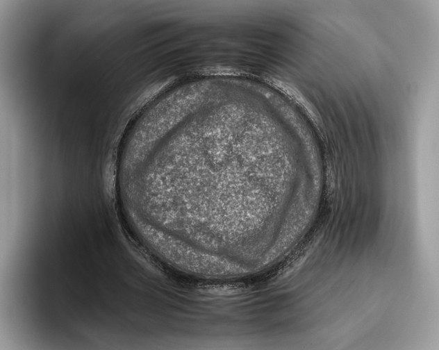 X0000095950533200802011104