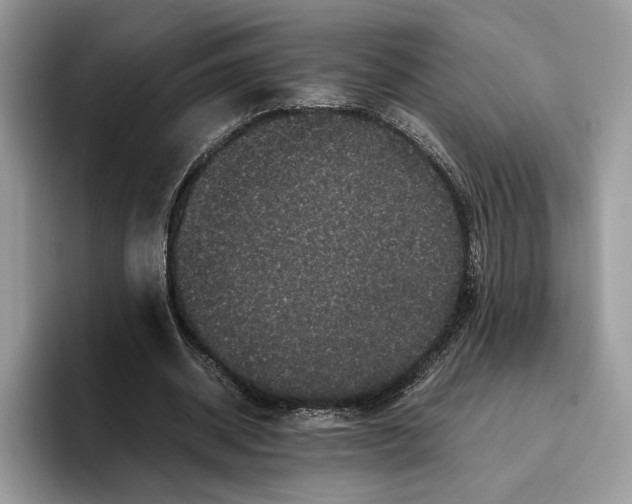 X0000095950534200802011104