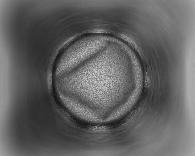 X0000095950535200802011104