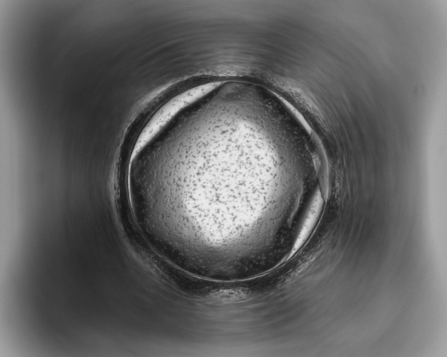 X0000095950536200802011104