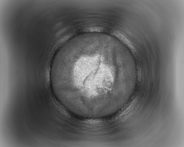 X0000095950537200802011104