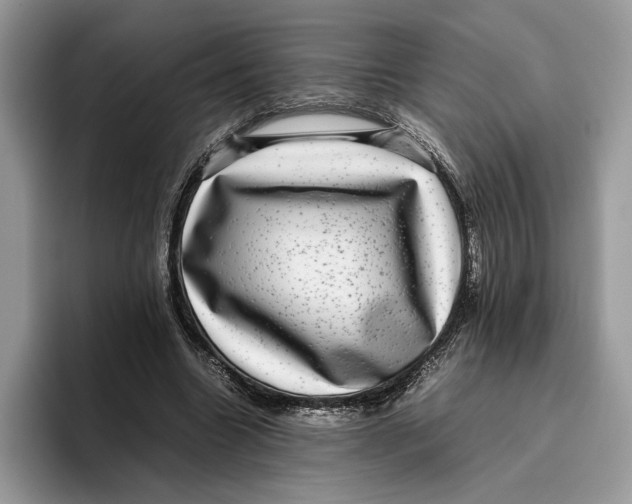 X0000095950538200802011104