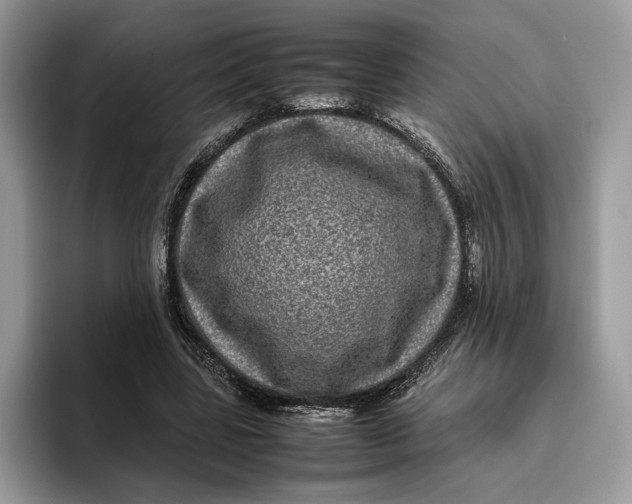 X0000095950539200802011104